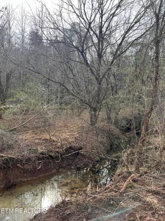 $495,000 58 ACRES- NO RESTRICTIONS (Madisonville)63815667970817121