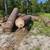 Log, brush, chip drop site 3 thumbnail