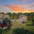 Situated in Jacksonville!, 1 Bed, Tennis Court 1 thumbnail
