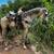 Aztek Dancing Horse 2 thumbnail