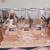 //-VINTAGE LIQUOR GLASSES 1 thumbnail