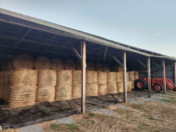 Round Bales 1