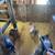 Meat, Breeding Gilts & Boar 5 thumbnail