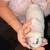 Pups 4 thumbnail