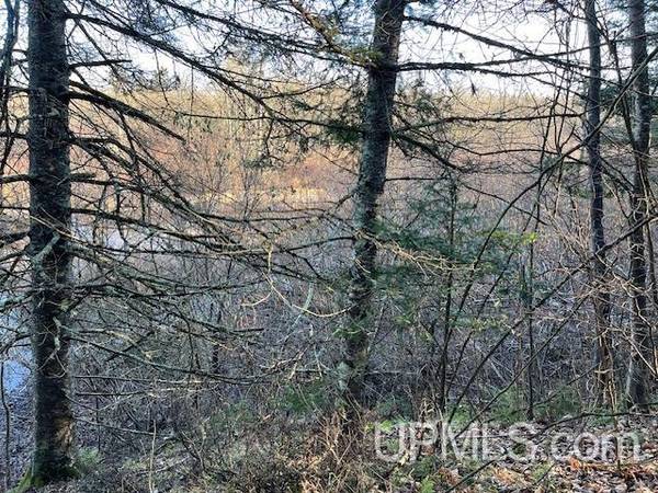 $50,000 .80 acres Popple River frontage MLS 50164491 (Florence)64151609092099121