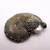 Vintage Polished Ammonite Fossil Pendant 6 thumbnail