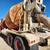1975 WESTERN STAR CEMENT/MIXER TRUCK 21 thumbnail