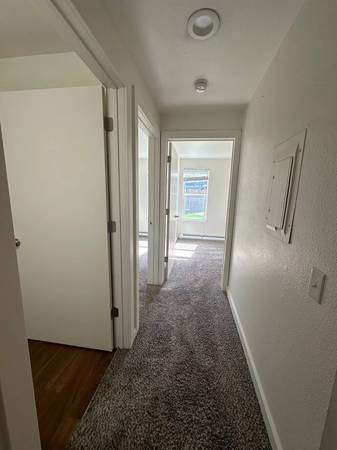 $1,600 / 2 habs - 850 pies² - ¡Todos los beneficios de la vida moderna! Lavadora/secadora incluidas. ¡Agende una visita hoy! (Bellingham)63509634943873124
