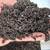 Mycorrhizal Fungi Enhanced Worm Castings 1 thumbnail