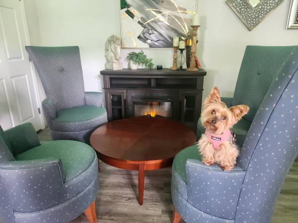 $148 / 1br - 300ft2 - BRING YOUR HUMAN TO FOUR SEASONS INN!!! (Branson)63754856556163120