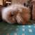 Teddywidder Bunnies 6 thumbnail