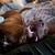 Medium sized dog 1 thumbnail