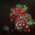 Red and Green christmas lights strand 10 function 2 thumbnail