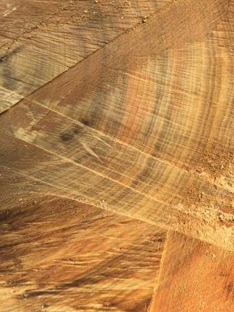 Kiln Drying Services For Your Slabs and Lumber 1