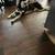 Husky female 3 thumbnail