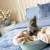 Cutest and tiniest Russian blue kittens 3 thumbnail