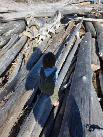 Help with Christmas 1