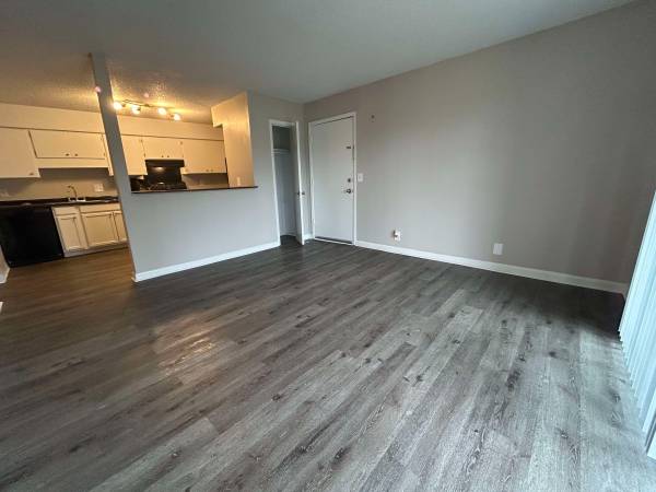 $1,125 / 1hab - 630ft2 - Huele a pintura fresca y libertad 🖌️🕊️ (Nashville)63673267793537122