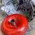 Dodge Chrysler AUTOMATIC TRANSMISSION 9 thumbnail