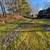 Valley Tree & Dirt Work LLC 6 thumbnail
