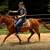 BEGINNER SAFE HORSES AVAILABLE | FAMILY HORSES | TRAIL PARTNERS | 8 thumbnail