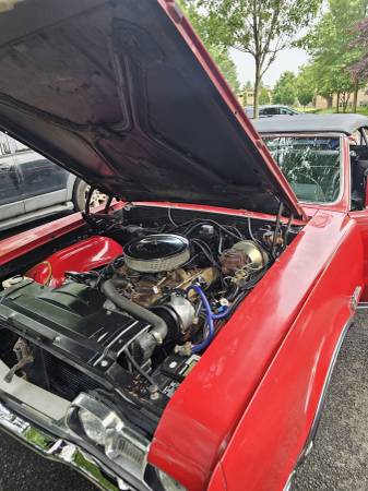 1967 Oldsmobile Cutlass Supreme - $11,99963618565521793124