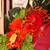 Tropical Paradise - Red Orange Flowers, Monstera Palm Wreath 3 thumbnail