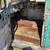 1954 Chevrolet 3100 (S10 Body Swap) 5 thumbnail