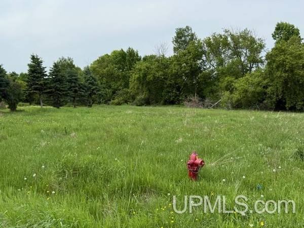 $15,000 0.33 Acres vacant lot MLS 50178507 (Florence T-WI)64151608854529123