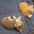 Kittens 2 thumbnail