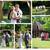 Wedding Videographer / Photographer For VA,MD and DC 4 thumbnail