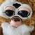 Vintage Collectible Furby Gizmo 4 thumbnail