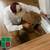 $79 Full Home Pest Control Treatment 14 thumbnail