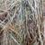 2 string grass hay 1 thumbnail
