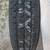 General 7.50 R16LT (NEW) sell/offer/trade 5 thumbnail