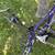 Georgena Terry Solstice Road Bike –Perfect Commuter, Vintage Charm 7 thumbnail