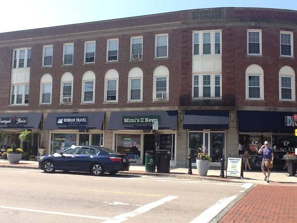 $1,850 / 1br - Dedham- Beautiful, Sunny One Bedrooms (Dedham Center)63996404377731124