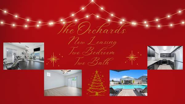 Right Before The Holidays!! 1