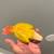 Suncheek Conure 3 thumbnail
