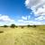 6± Acres with Home & Iprovements; 272± Acres Grassland/Timber - 3 Trac 21 thumbnail