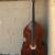 Professional Double bass made by Master 1 thumbnail