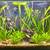 Complete 29g Freshwater Aquarium 1 thumbnail