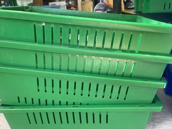 Seed growing, veggie storage 1