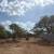 Rock crushing and forestry mulching 8 thumbnail