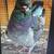Modena pigeons 1 thumbnail