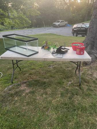 20 gallon aquarium and accessories 1