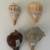 Cut Glass & Seashells 19 thumbnail