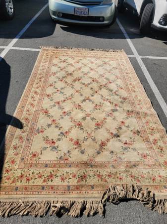 Karastan Garden of Eden 6x9 pure wool rug in superb shape. - $399 (bernal heights)63471459717507122