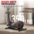 New Elliptical Machine, Elliptical Exercise Machine for Home with Hyper-Quiet Ma 6 thumbnail