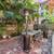 Historic Penthouse Furnished Jackson Sq w/ HUGE Rooftop (7 Bartol St) 17 thumbnail